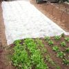 Téli növényvédő takaró, fehér 1x15m 90g