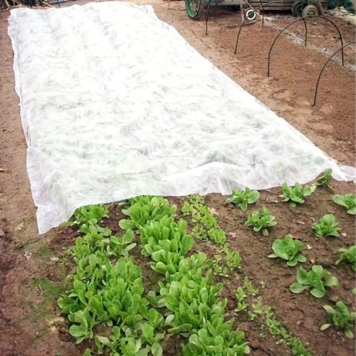 Téli növényvédő takaró, fehér 1x15m 90g