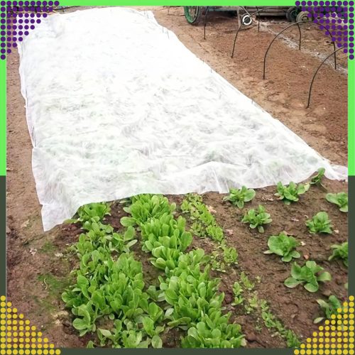 Agrotextil téli növénytakaró, 15x1m 50g, fehér agroszövet