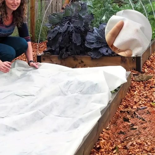 Téli növényvédő takaró, fehér 1,6x50m, 70g/m2