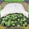 Agrotextil téli növénytakaró, 15x1m 70g, fehér agroszövet