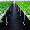 Geotextil, agroszövet, 1,6x100m, 70g/m², UV-álló, fekete - gyomirtó kertszőnyeg, PP talajtakaró növényvédelemhez